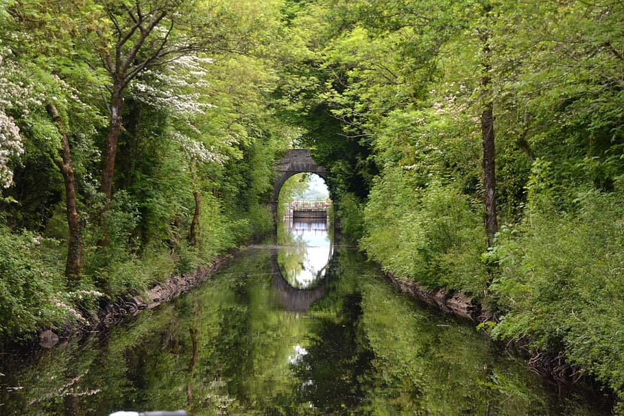 river, mirror, mirroring, water, forest, bridge, reflections HD wallpaper