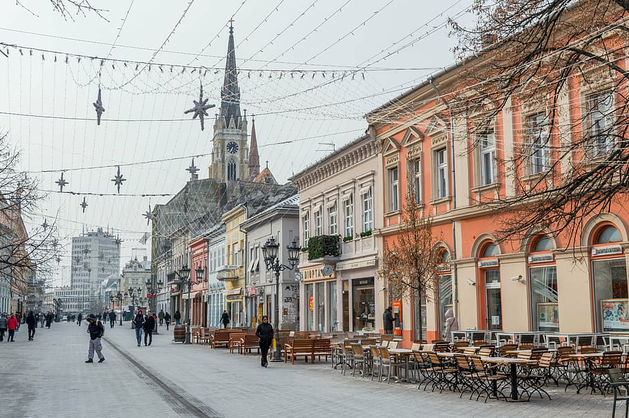 novi, sad, serbia, old, city, center, architecture, travel, HD wallpaper