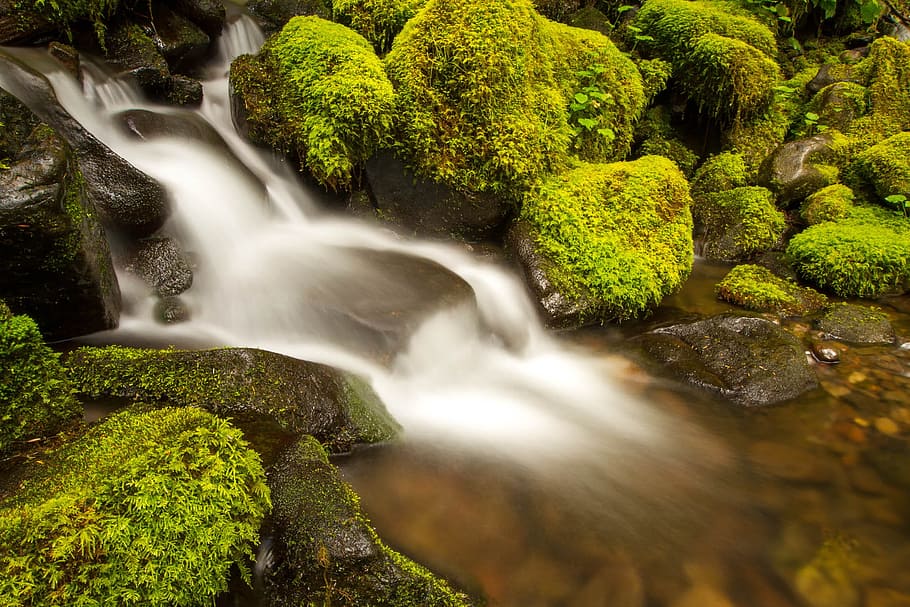 waterfalls surrounded by trees during daytime, waterfalls near rock HD wallpaper