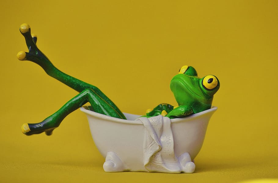 green frog on bathtub decor, Swim, Relaxation, funny, body care HD wallpaper
