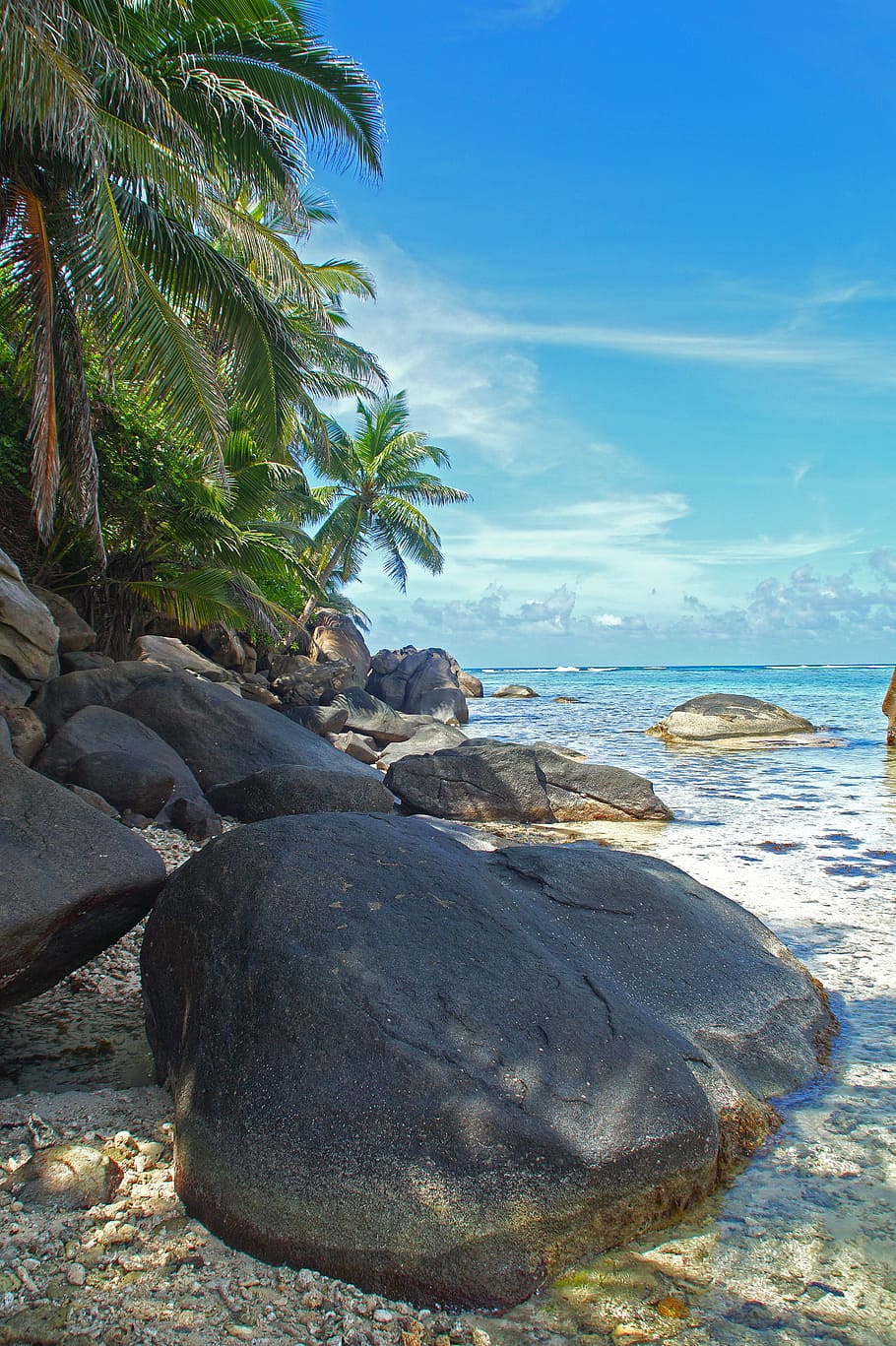 Seychelles, Shore, Nature, side, blue, landscape, sea, holiday HD wallpaper