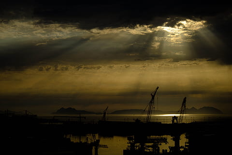 silhouette photo of crane near body of water, sunset, backlight HD wallpaper