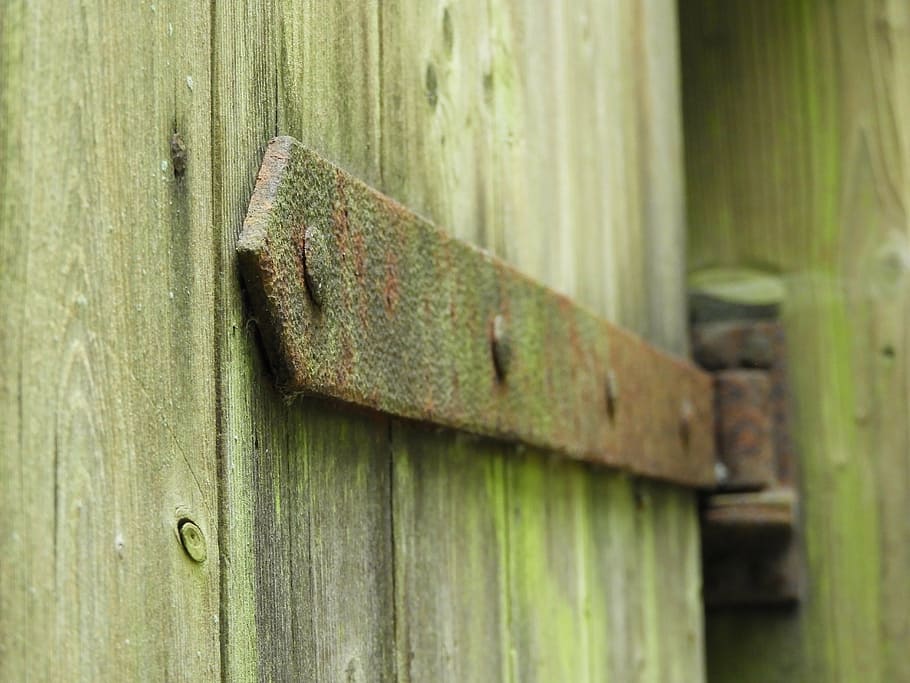 hinge, stainless, old, iron, wood, rusty, weathered, wood - material, HD wallpaper