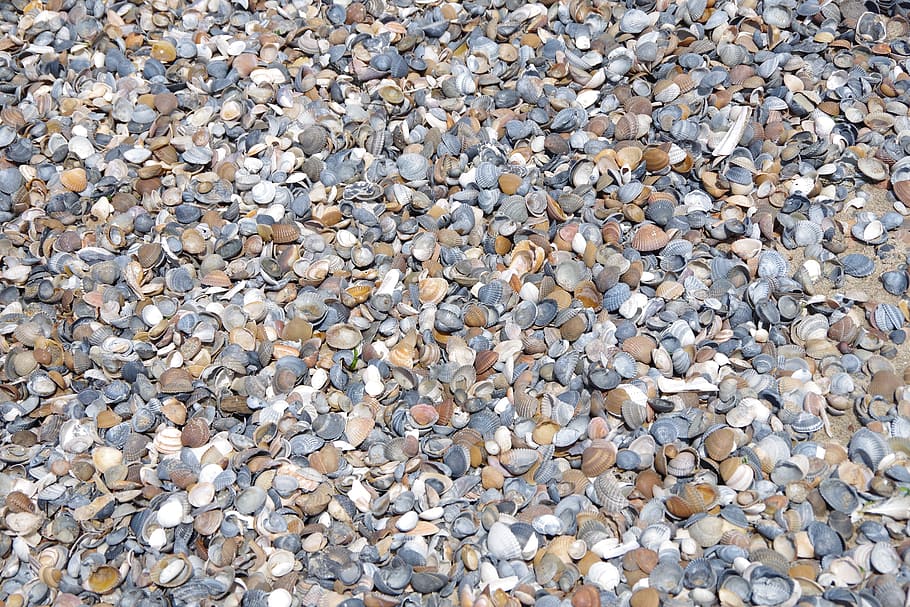 pattern, texture, textiles, stone, rau, full frame, backgrounds HD wallpaper
