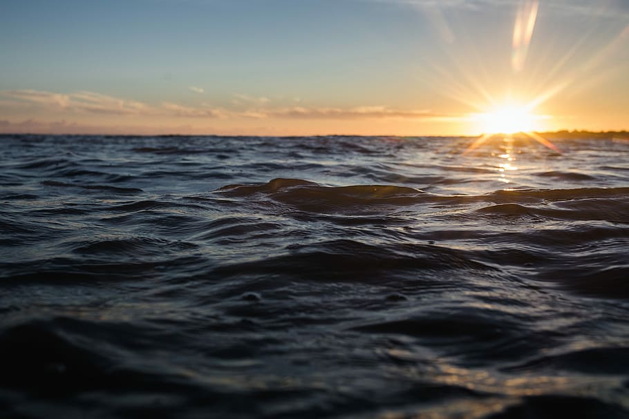 sunset over the horizon, body of water during sunset, ocean, sky HD wallpaper