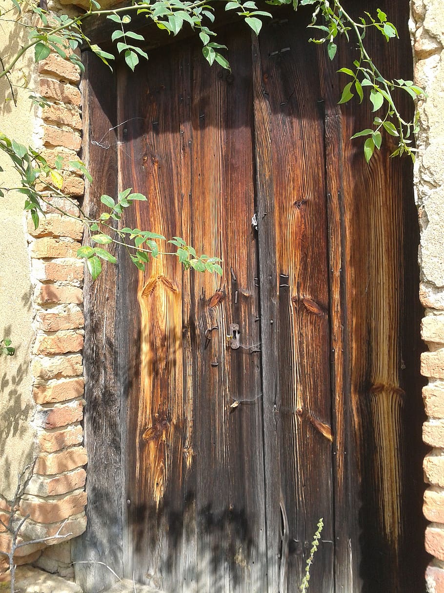door, guidelines, option, plant, wood - material, entrance HD wallpaper