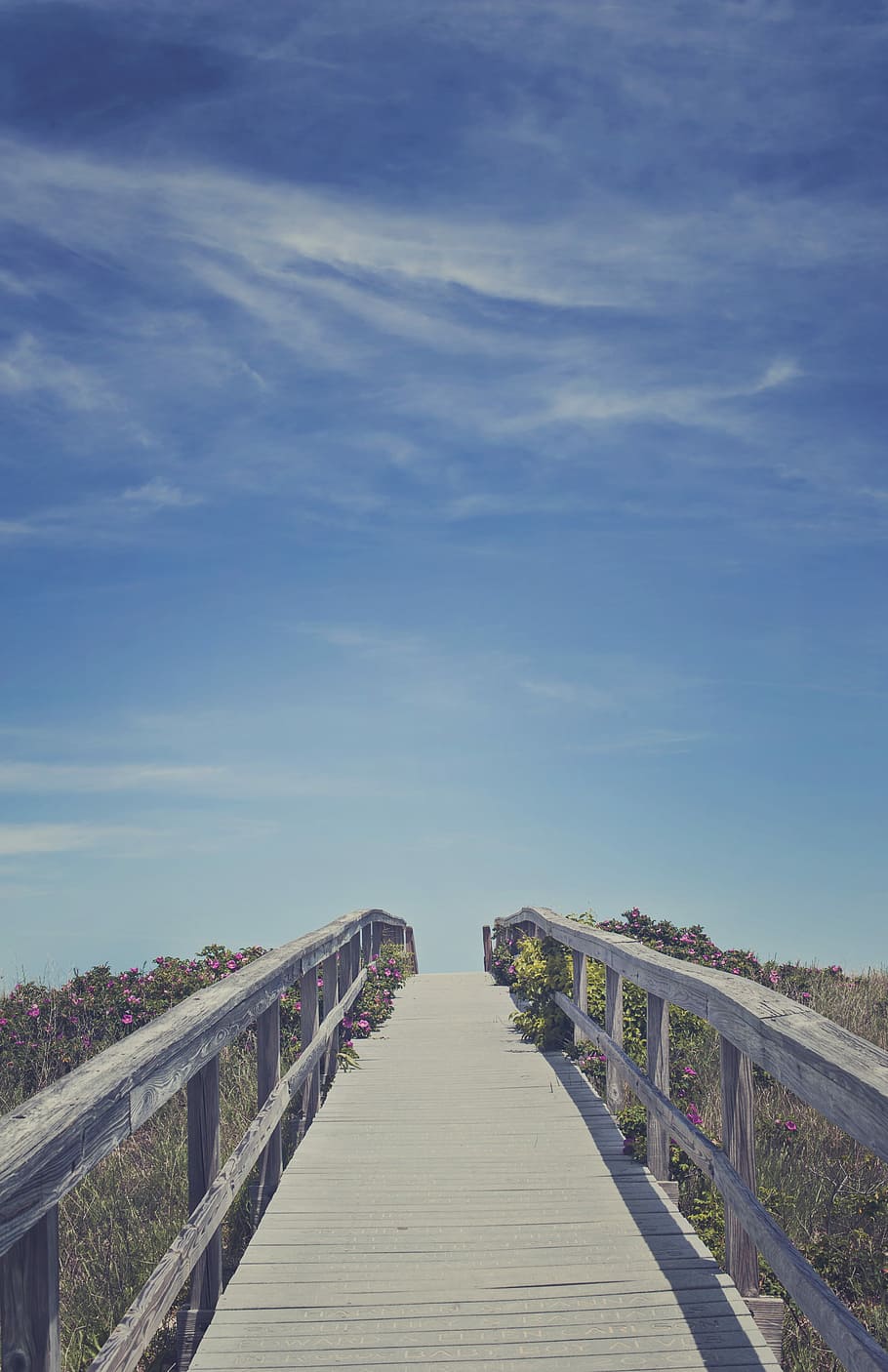 brown wooden bridge, gray bridge surrounded with flowers, walkway, HD wallpaper