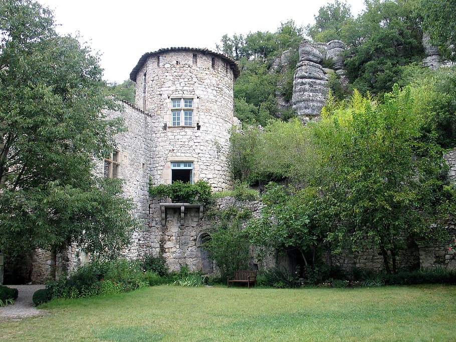 auvergne, tower, castle, plant, built structure, architecture HD wallpaper