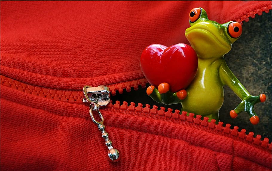 green ceramic frog, zip, open, love, valentine's day, heart, funny, HD wallpaper