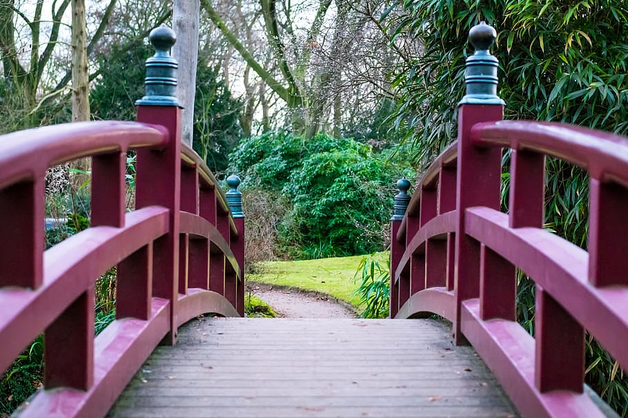 first person perspective photography of red bridge, Japanese Garden, HD wallpaper