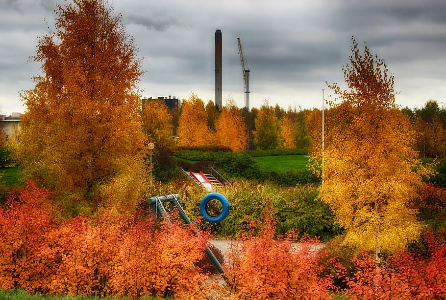 finland, park, sky, clouds, fall, autumn, nature, outside, countryside HD wallpaper