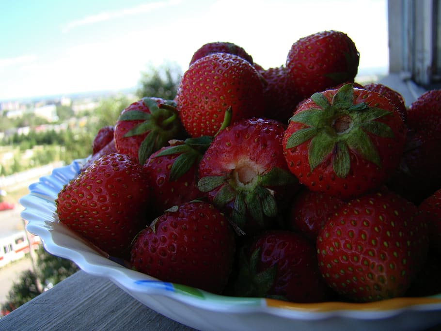strawberry, red, appetizing, tasty, loggia, sun, shadow, fruit HD wallpaper