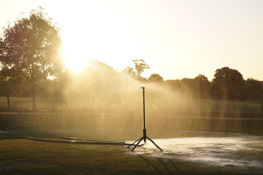 black metal water sprinkler during golden hour photography, Watering