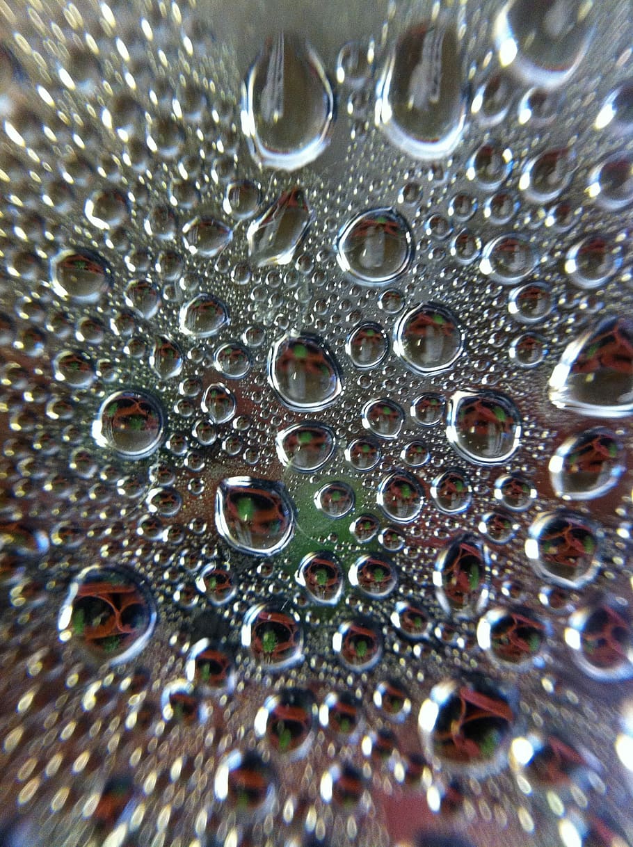 Water, Droplets, Macro, rain, close-up, freshness, backgrounds HD wallpaper