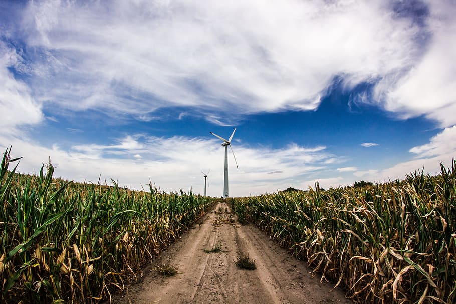 crops, windmill, corn, agriculture, rural, farm, field, sky HD wallpaper