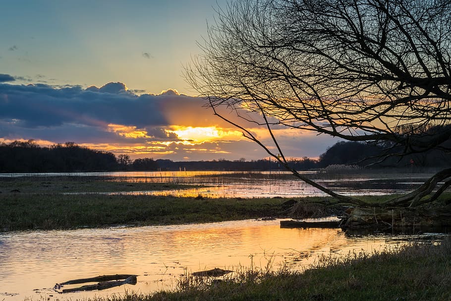 elbe, high water, evening, river, current, nature, mood, sunset HD wallpaper