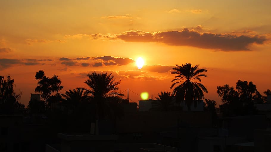 Sunset, Baghdad, Palm Trees, Iraq, silhouette, scenics, sky, HD wallpaper