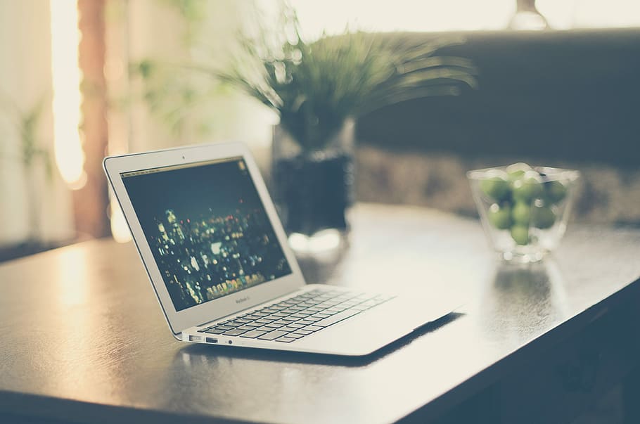 MacBook Pro on table, MacBook Air on table beside green plant HD wallpaper