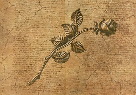 brown rose artwork, background, old, nature, paper, letters HD wallpaper