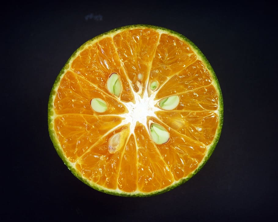 orange, fruit, slice, white, citrus, sour, isolated, agriculture HD wallpaper