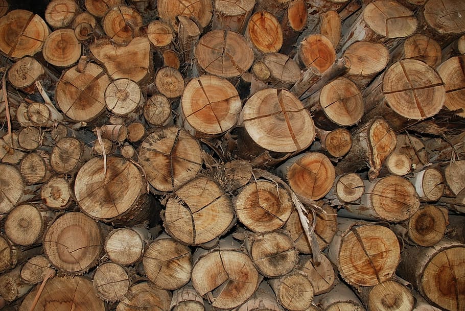 Wood, Brown, Trunk, wood - Material, tree, stack, log, lumber Industry HD wallpaper