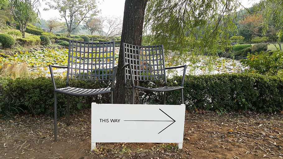 arrow, signs, bench, pause, jeju island, wood, nature, walk HD wallpaper