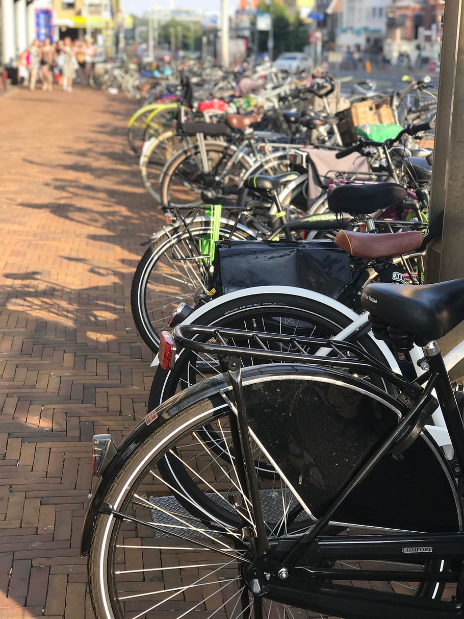 bicycles, holland, scheveningen, cycling, bike, transportation, HD wallpaper