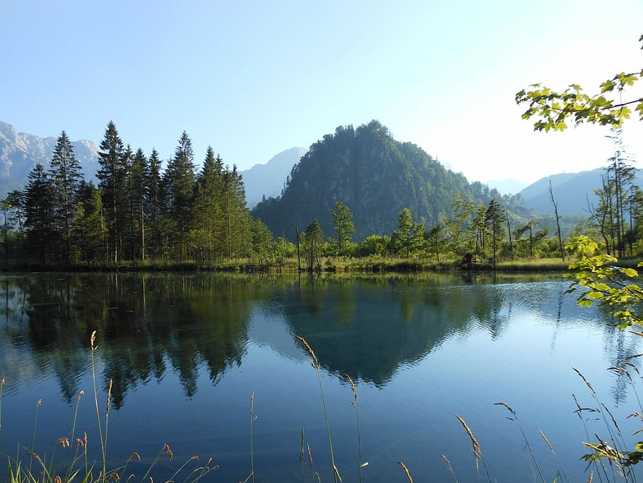 Nature, Landscape, Almsee, reflection, mountain, tree, lake HD wallpaper
