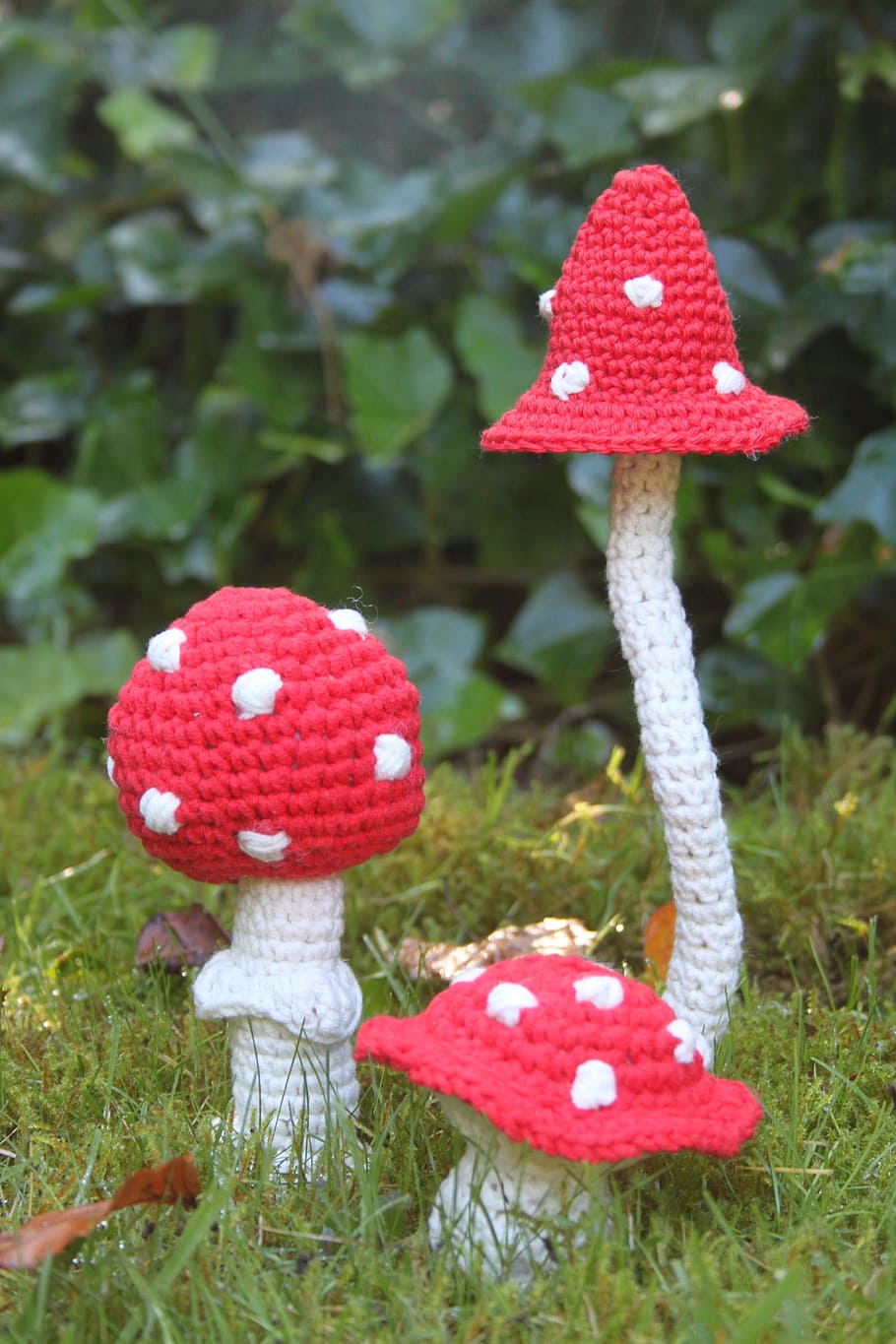 red and white knitted mushrooms, mushroom hooks, autumn, fly agaric HD wallpaper