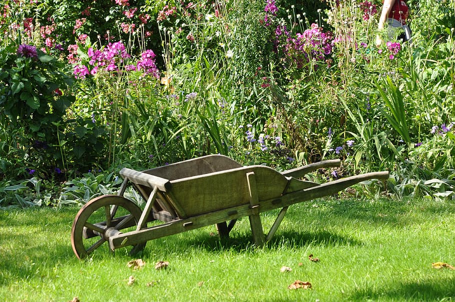 brown wheelbarrow in the middle of green field, garden, vegetable garden