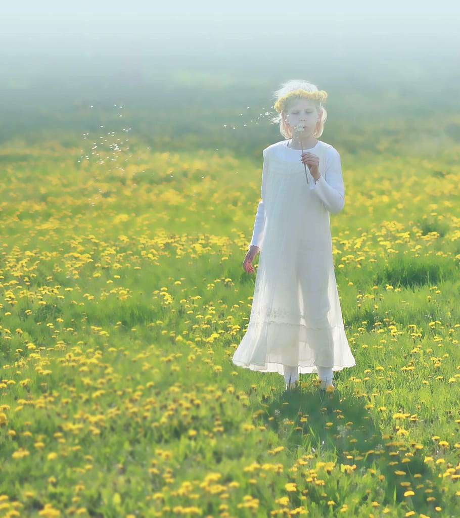 photo of girl blowing dandelion, spring, yellow, serenity, nature HD wallpaper
