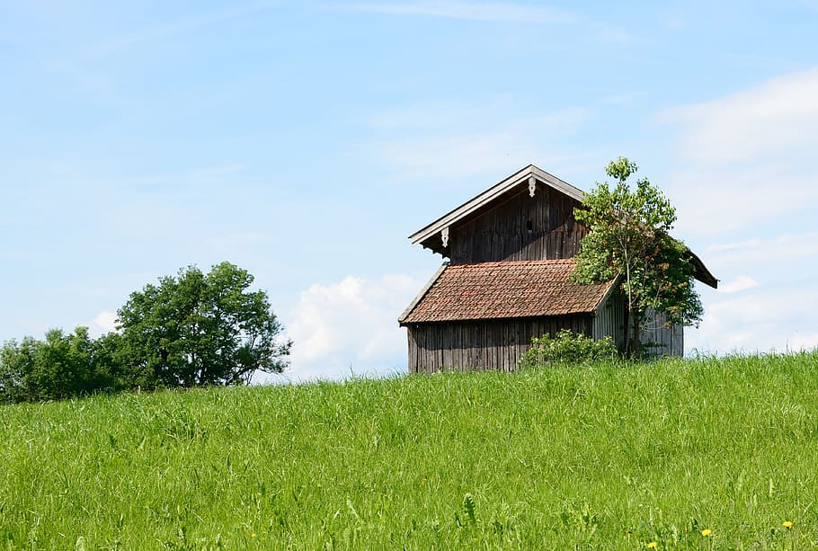brown house on top of hill, Field, Barn, Hut, Meadow, field barn HD wallpaper