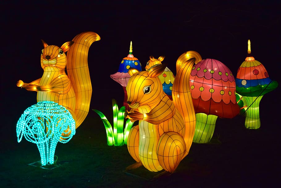 lanterns, chinese, night, lights, colors, squirrels, art and craft HD wallpaper