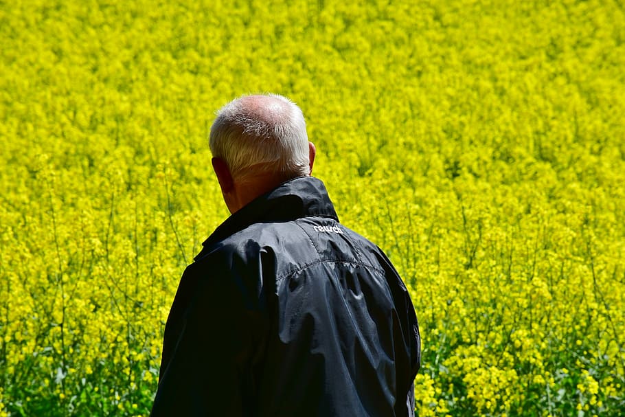 man in black coat standing in front of plants, senior, oilseed rape HD wallpaper