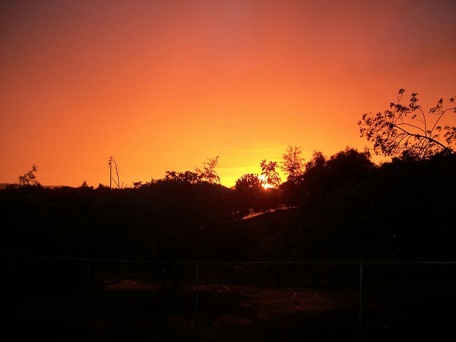 sunset, orange, yellow, black, landscape, red, sunlight, color HD wallpaper