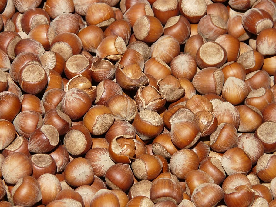 Nuts, food, hazelnuts, backgrounds, large group of objects, full frame HD wallpaper