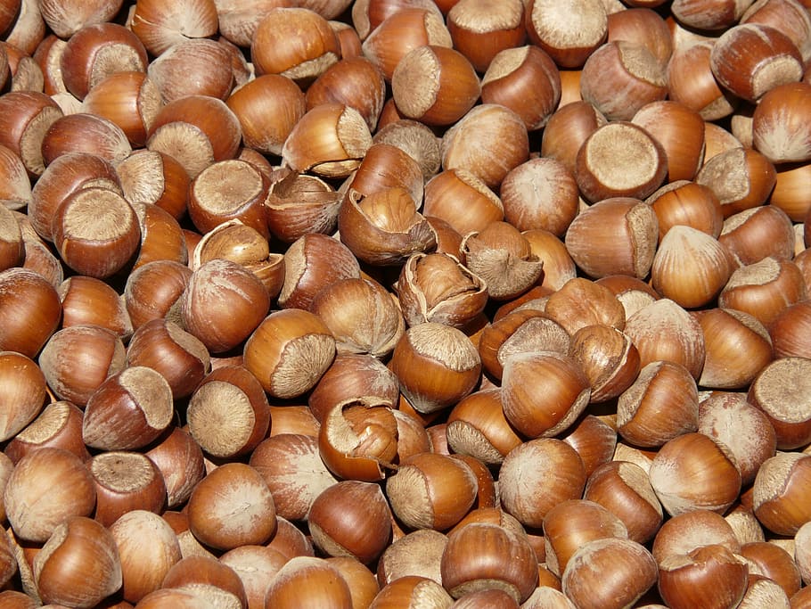pile of chestnuts, hazelnuts, brown, open, shells, market, close HD wallpaper