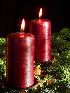 two red pillar candles, christmas, deco, decoration, advent HD wallpaper