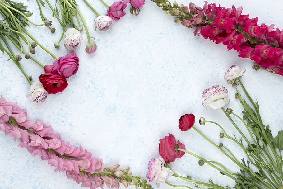 assorted-color flowers layed on white concrete surface, purple and white flowers on white surface, HD wallpaper