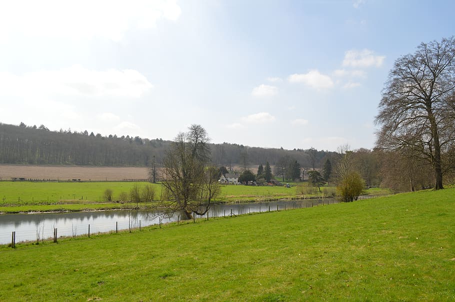 grass, nature, tree, panoramic, landscape, farm, outdoor, panorama HD wallpaper