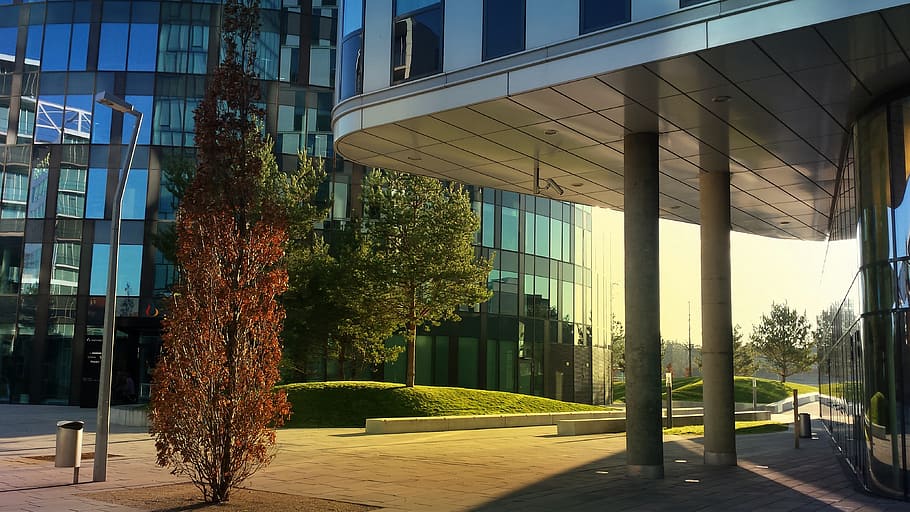 architecture, tree, building, modern, built structure, building exterior HD wallpaper