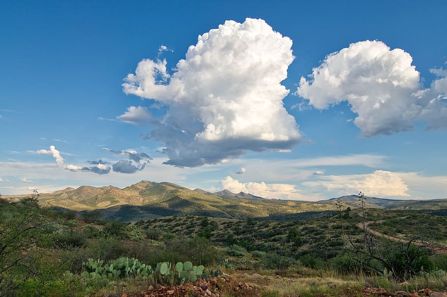 clouds, desert, cactus, mountains, arizona, summer, nature HD wallpaper