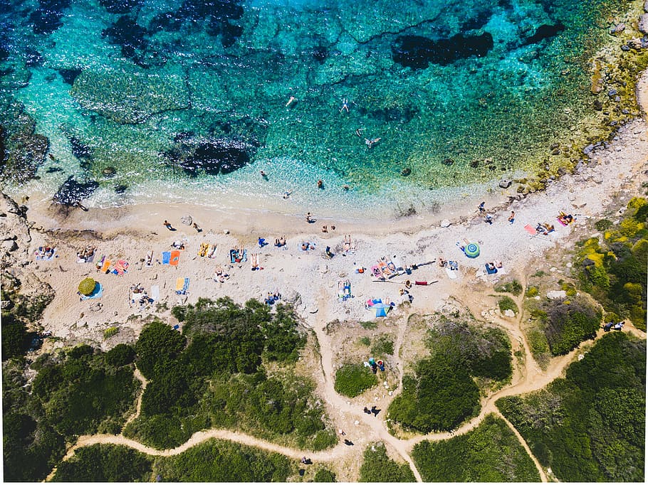 aerial photography of people near seashore, group of people on beach HD wallpaper