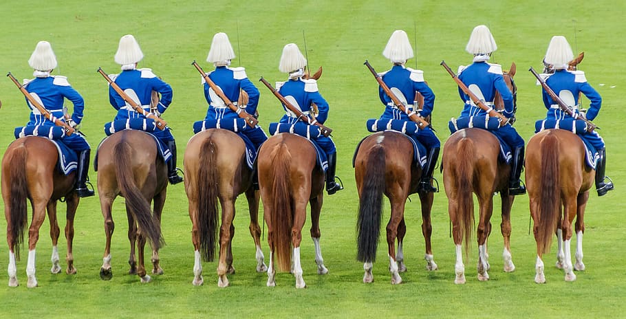 reiter, guard, horses, solemnly, beritten, uniforms, from the rear