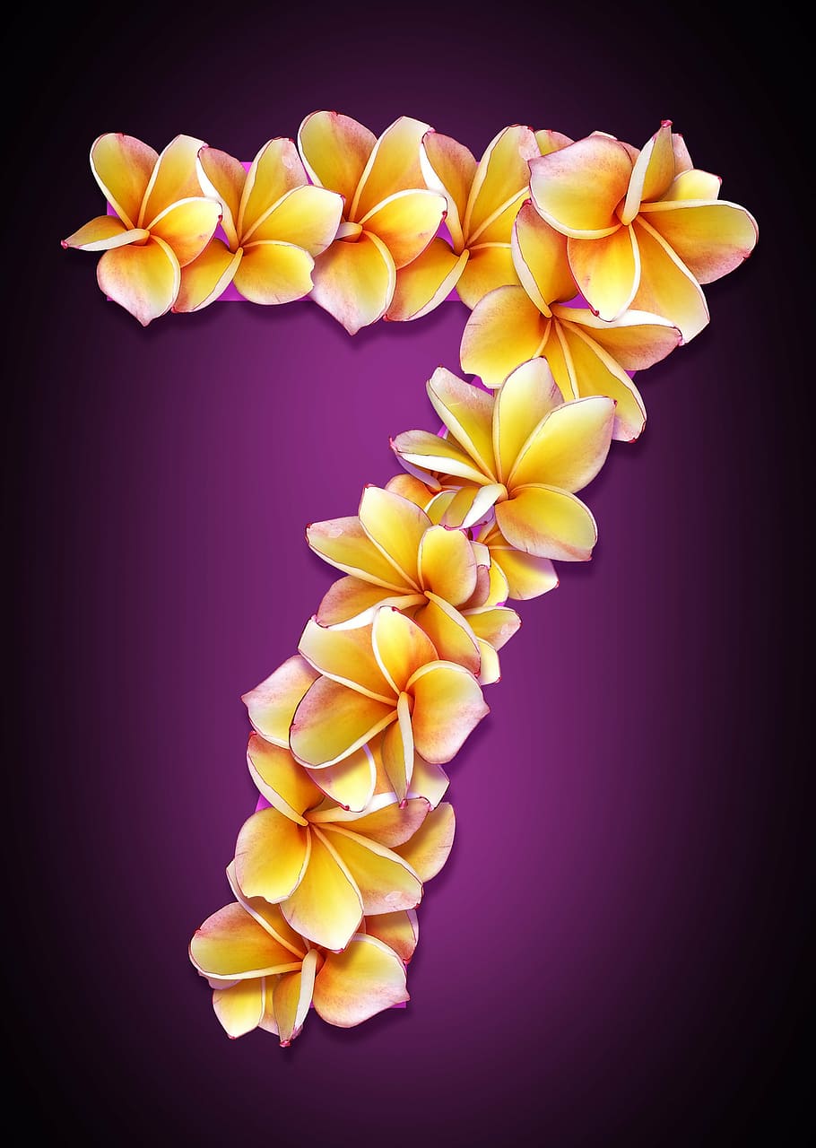 figure, date, flowers, collage, design, idea, bright, color HD wallpaper