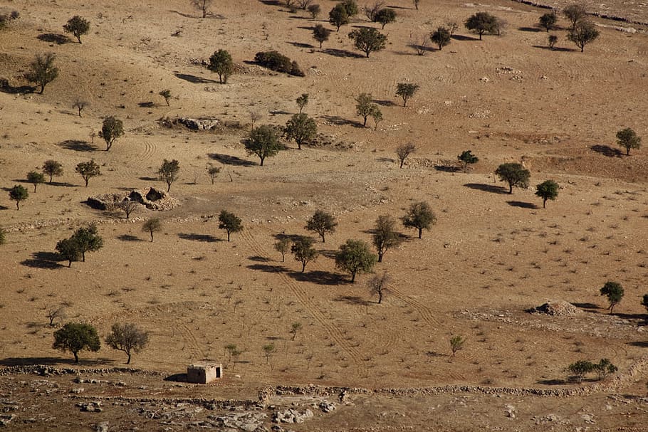 Nature, Tree, Landscape, Stone, terry, environmental, mardin HD wallpaper
