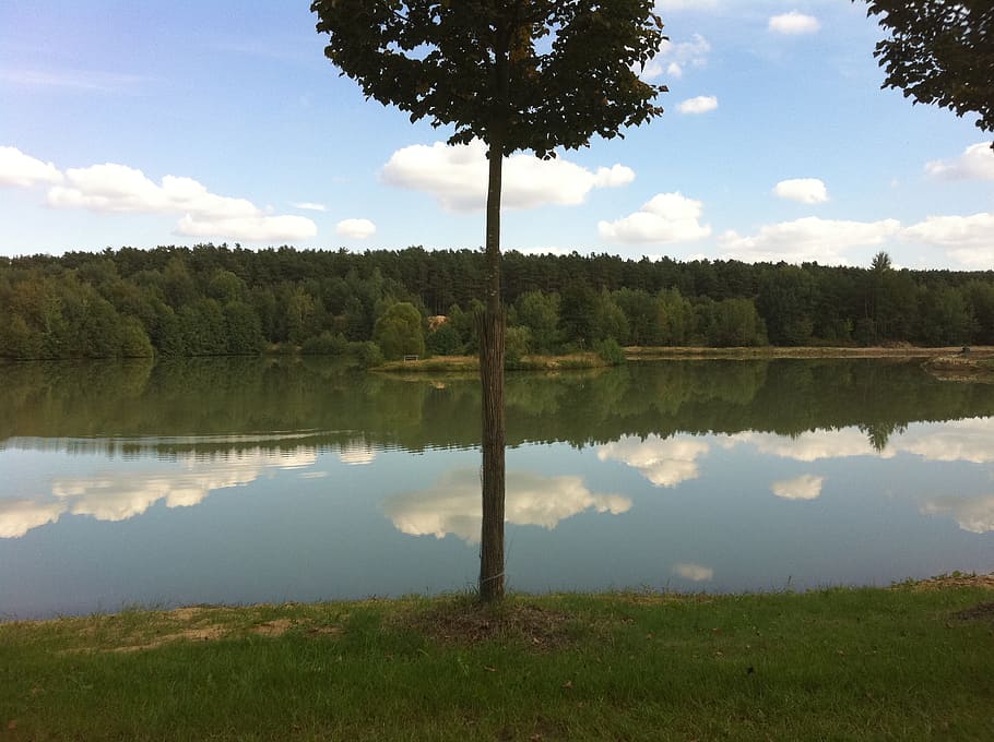 rest, lake, water, plant, tree, tranquility, reflection, tranquil scene HD wallpaper