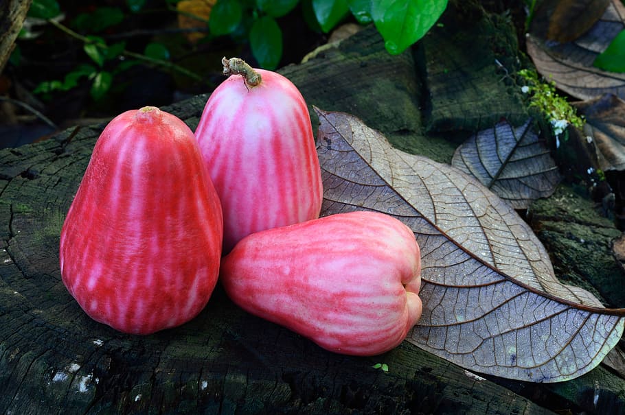 fruit, sweet, red, pear, food, natural, healthy, diet, organic HD wallpaper