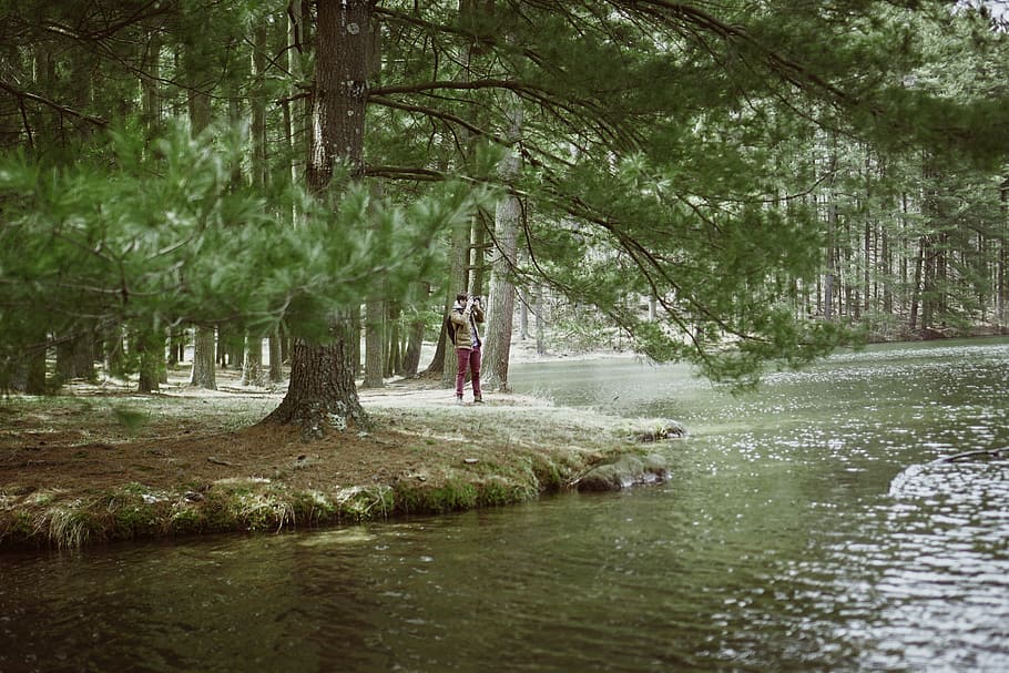 man standing beside body of water near green trees during daytime HD wallpaper