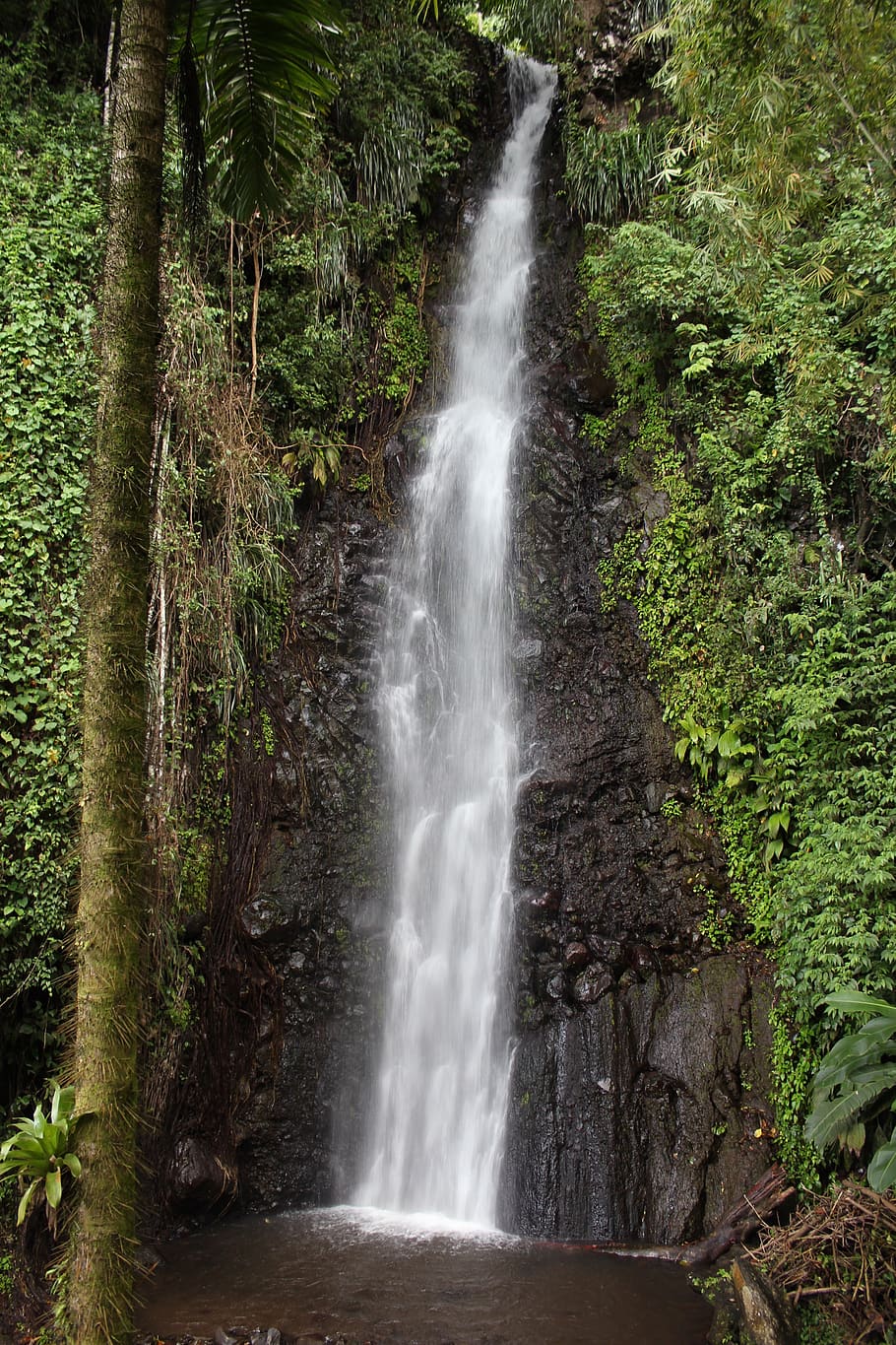 waterfall, nature, cascade, landscape, motion, beauty in nature HD wallpaper